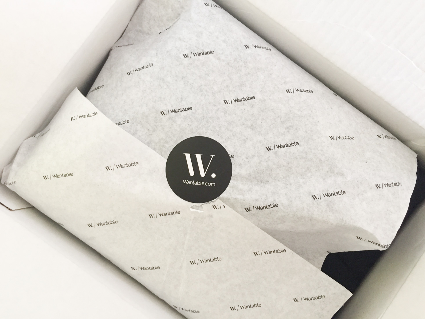 Wantable Plus Fitness Subscription Box Review – January 2018