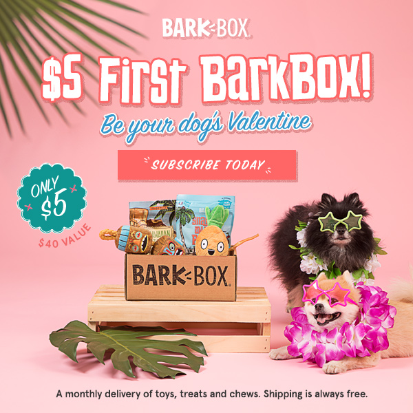 Last Day! BarkBox Coupon – First Box for Only $5!