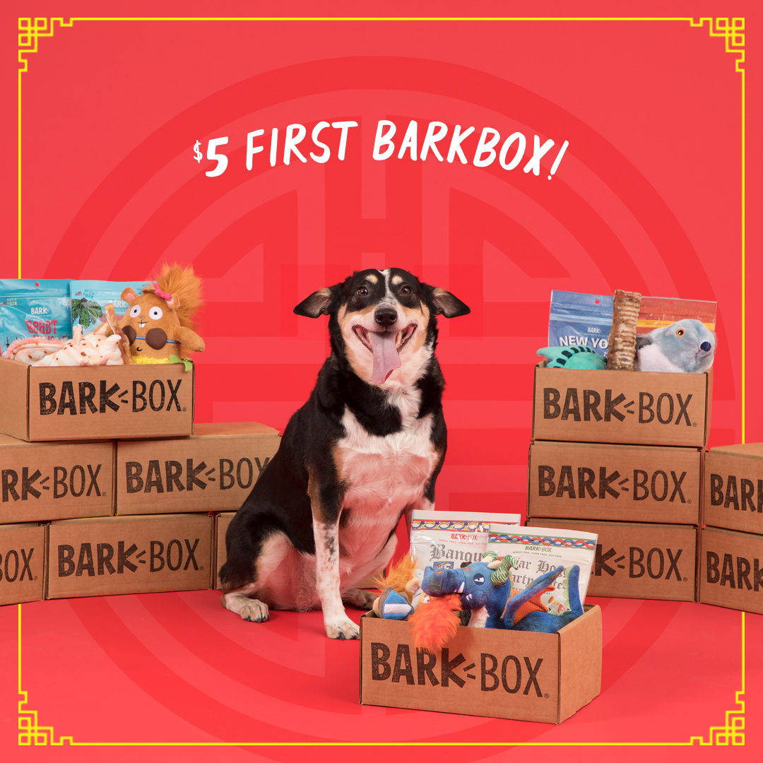 Last Day! BarkBox Coupon – First Box for Only $5!