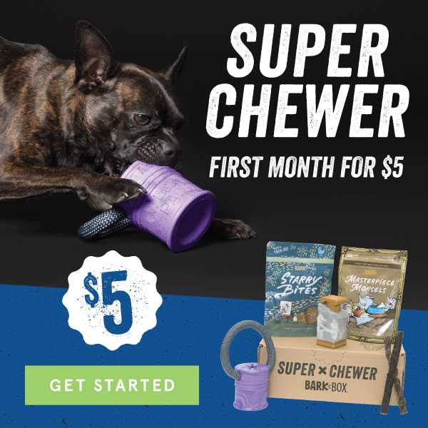 New BarkBox Coupon – First Super Chewer Box for $5!