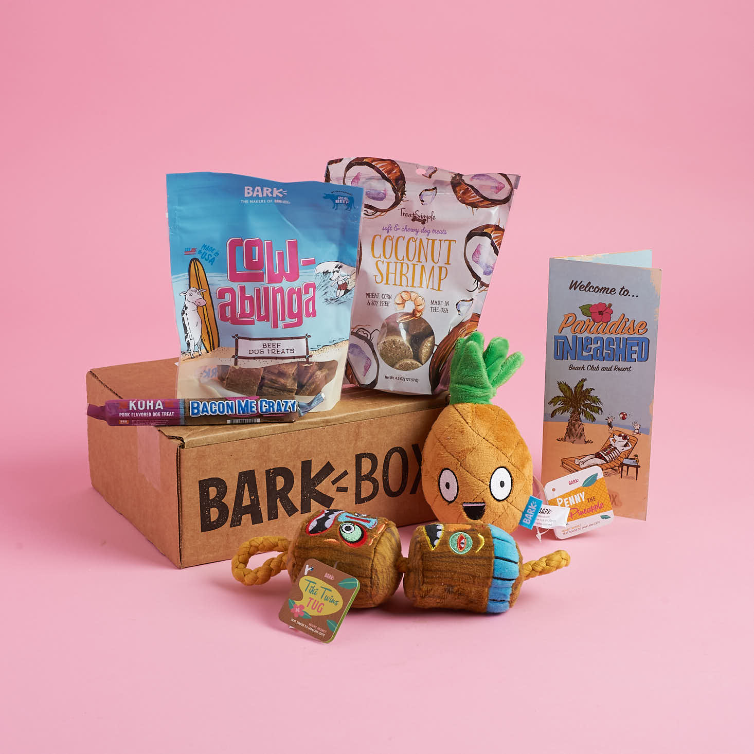 BarkBox Subscription Box Review + Coupon – February 2018
