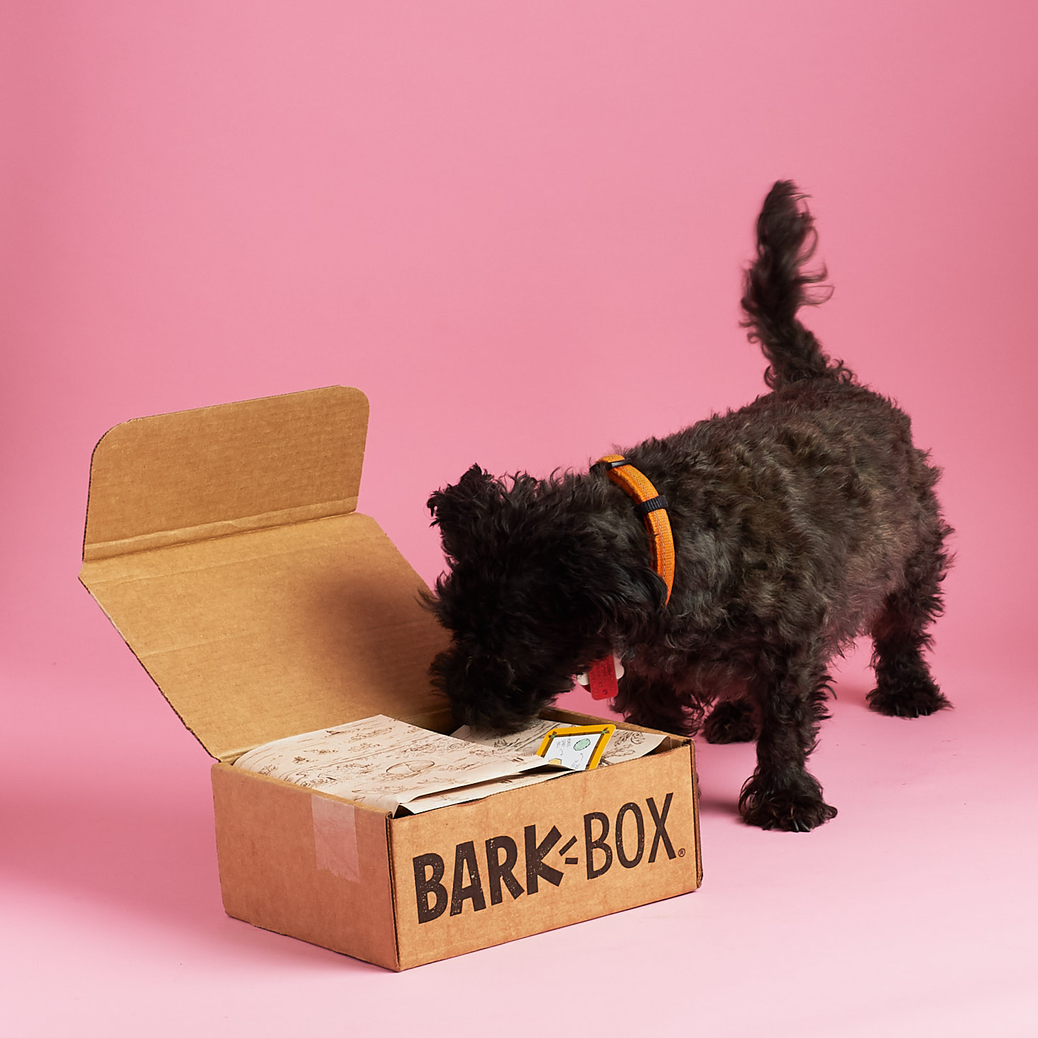20 Best Charitable Subscription Boxes You Can Feel Good About MSA