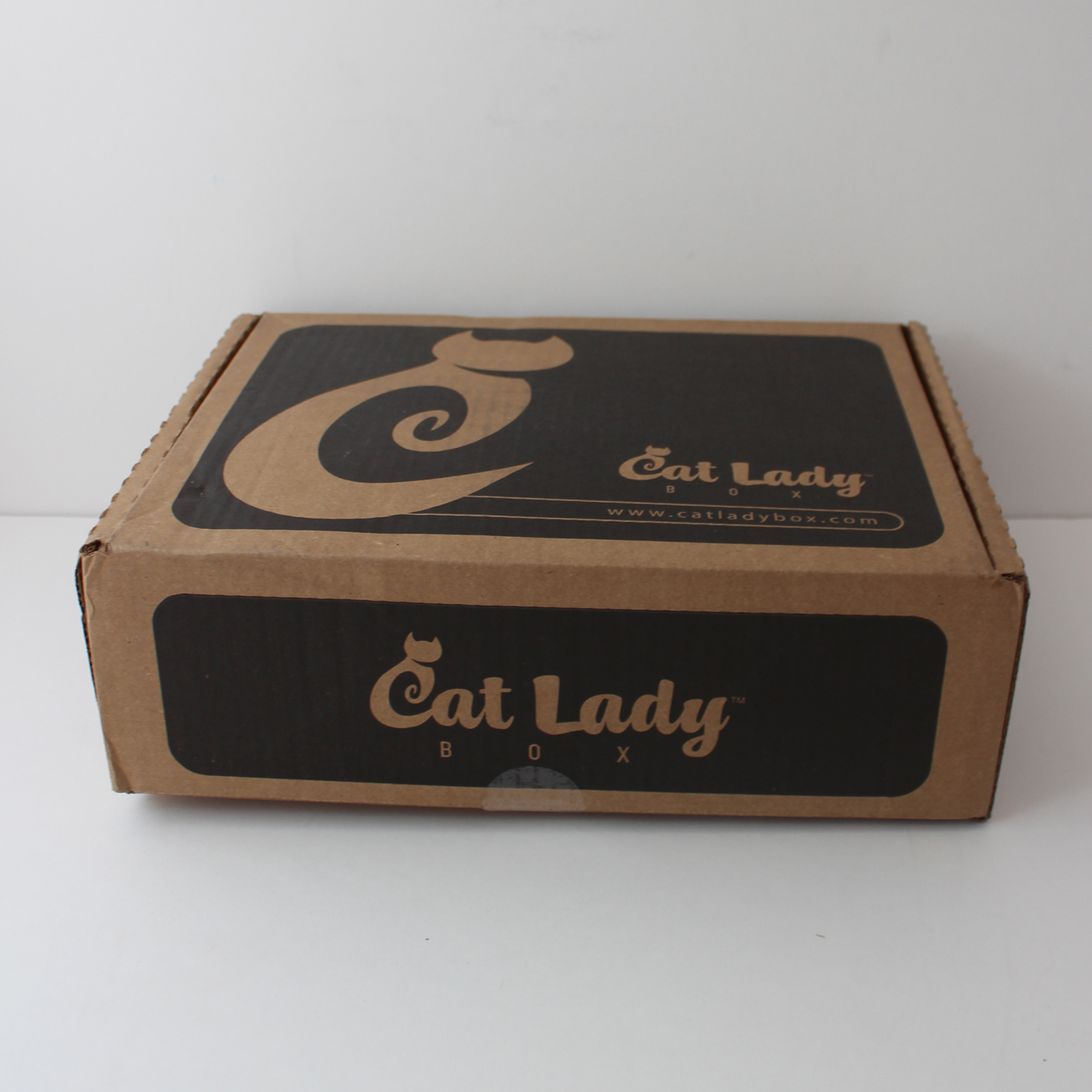 Cat Lady Box Subscription Review + Coupon – February 2018