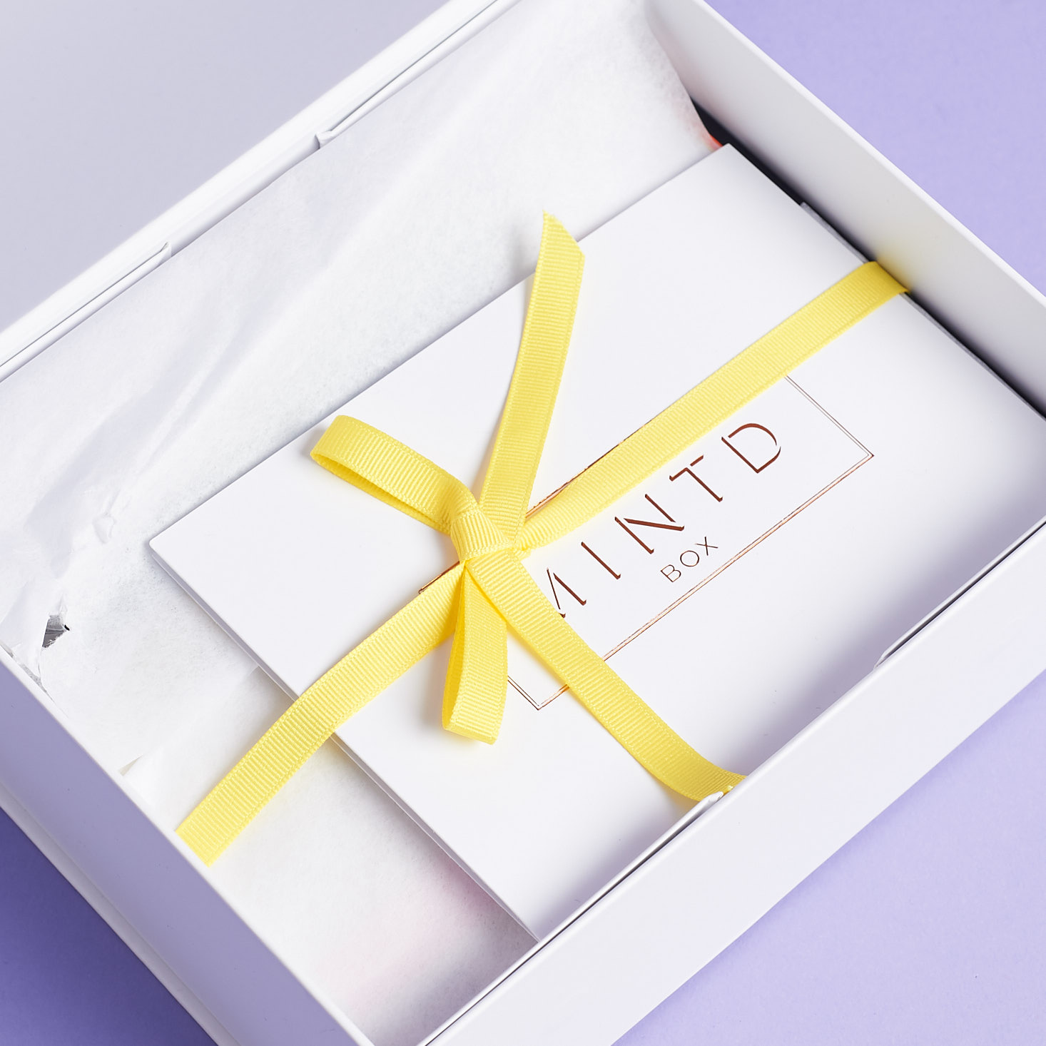 MINTD Box Subscription Review + Coupon Code – January 2018