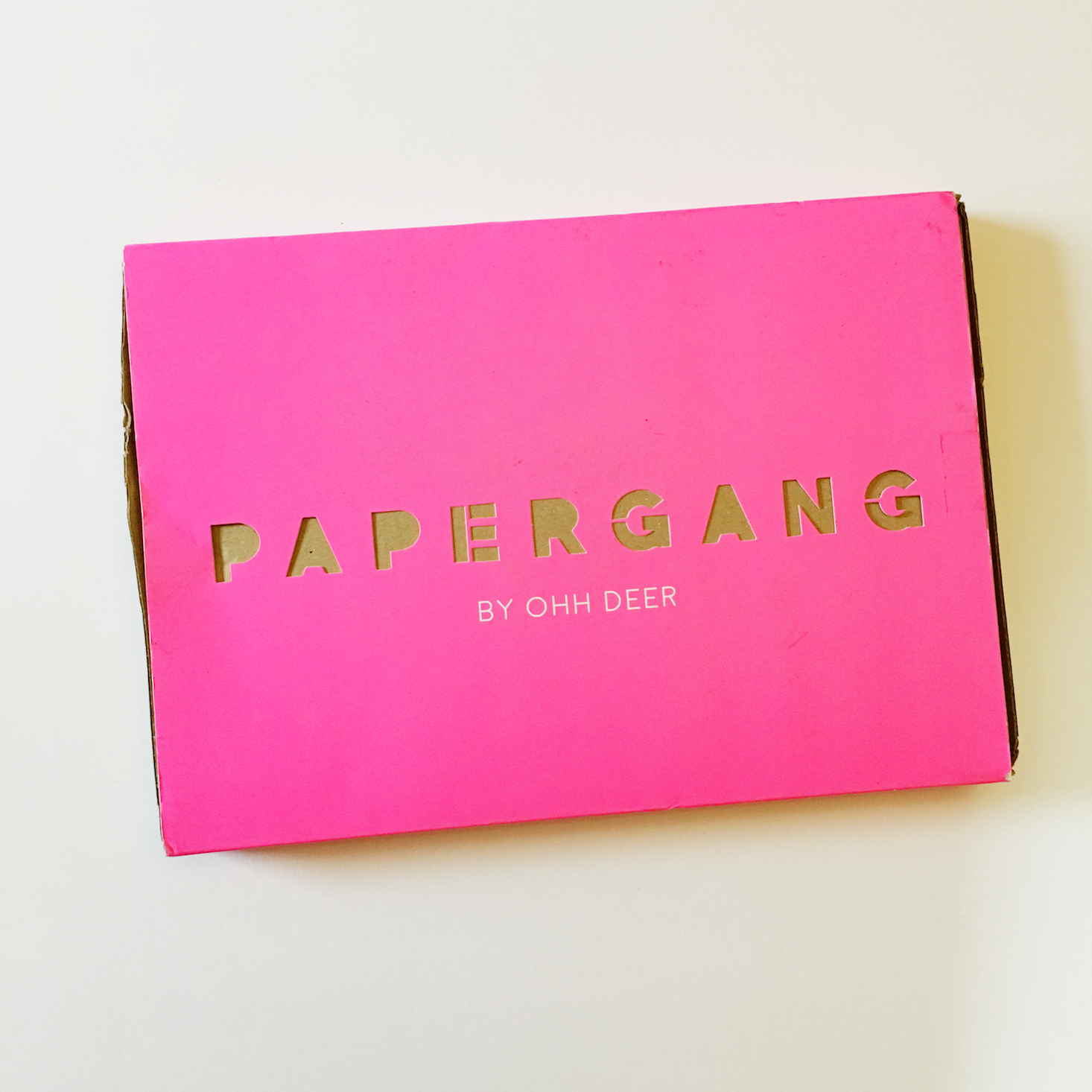 Papergang by Ohh Deer Stationery Box Review + Coupon – February 2018