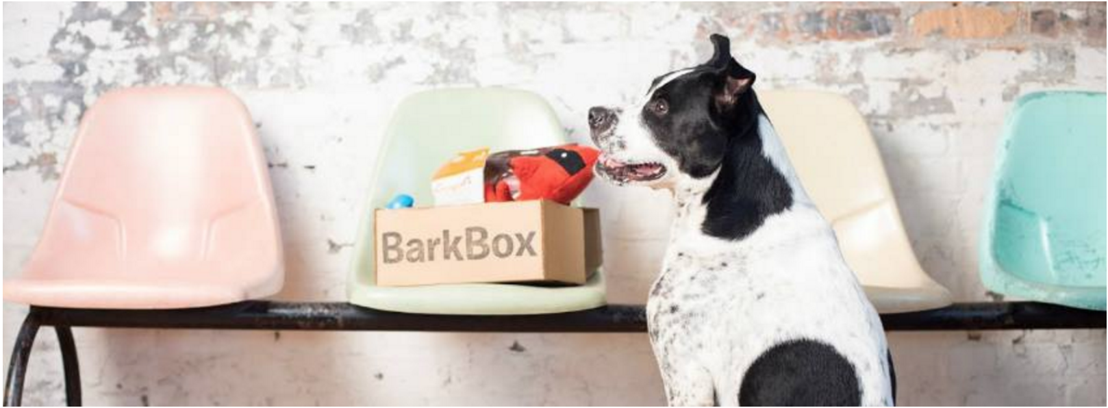 New BarkBox Coupon – First Super Chewer Box for $5!