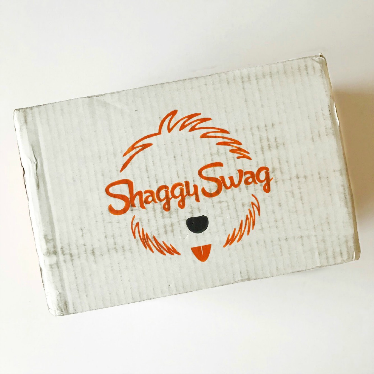 ShaggySwag Dog Subscription Review + Coupon – January 2018