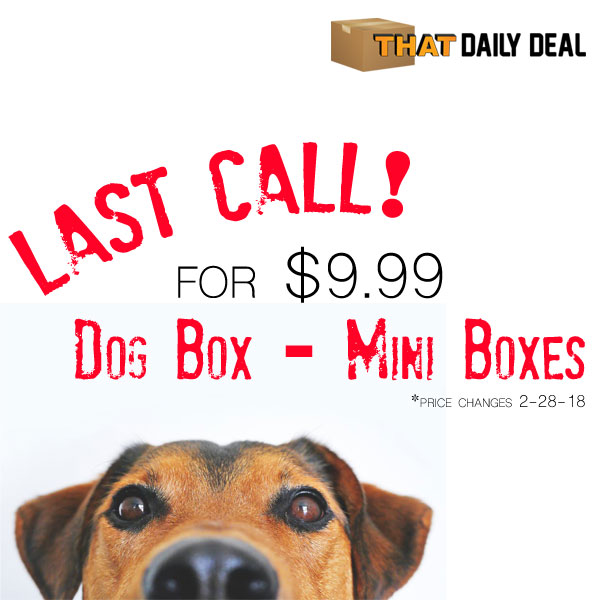 Mini Monthly Mystery Box For Dogs Pricing Changes – Lock in Prices by February 28th