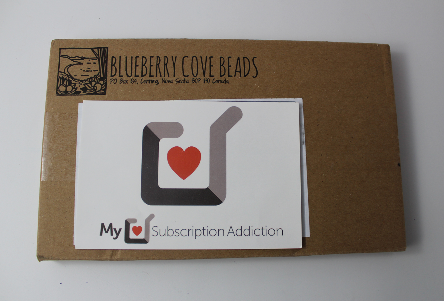 Blueberry Cove Beads Subscription Box Review – March 2018