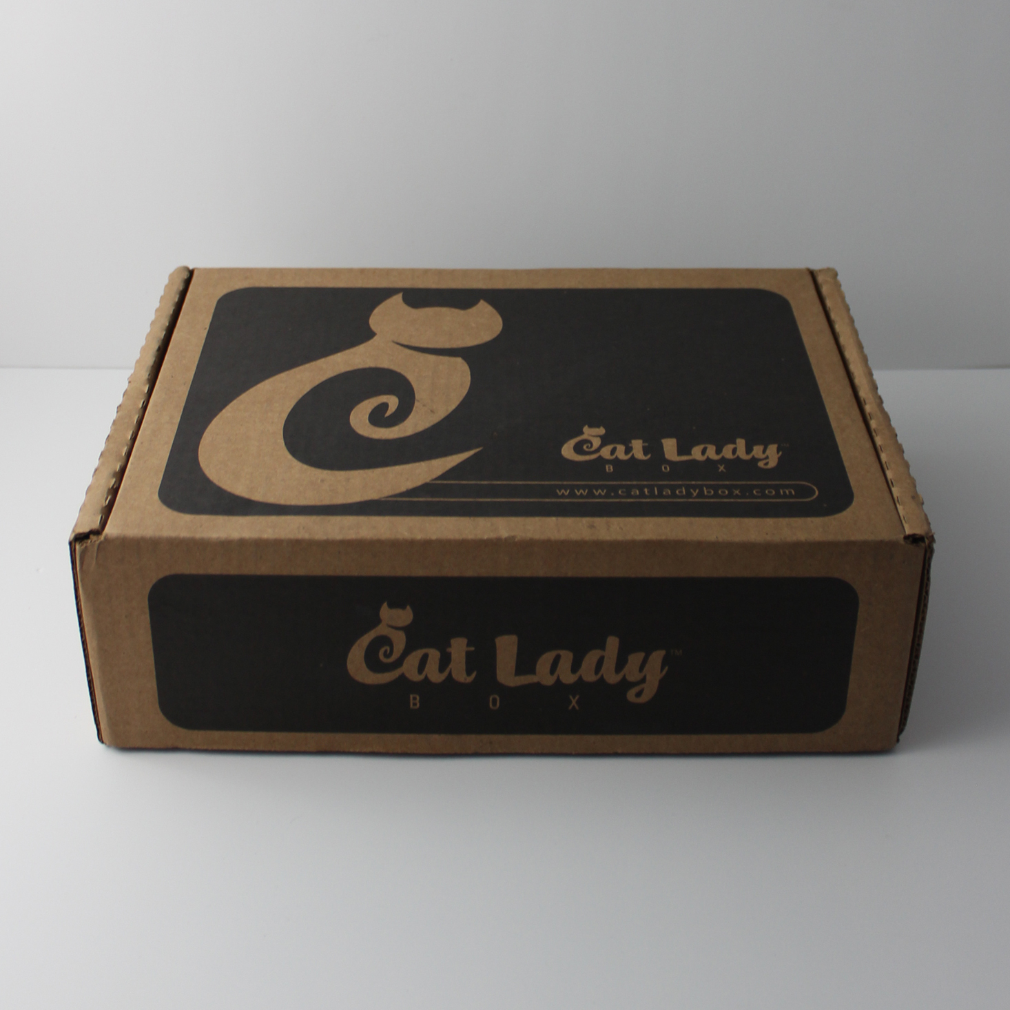 Cat Lady Box Subscription Review + Coupon – March 2018