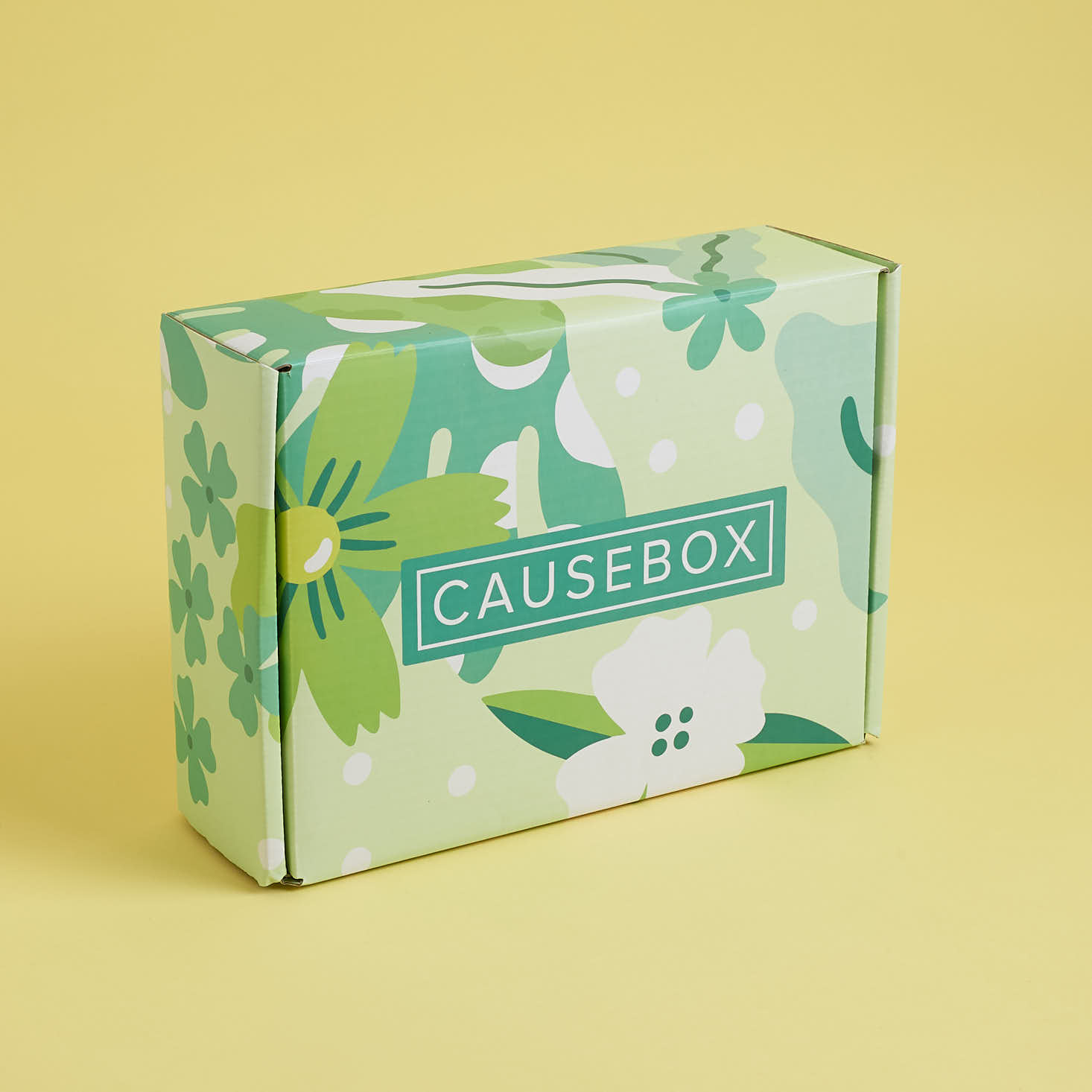 CAUSEBOX Spring 2018 Subscription Box Review + $10 Coupon