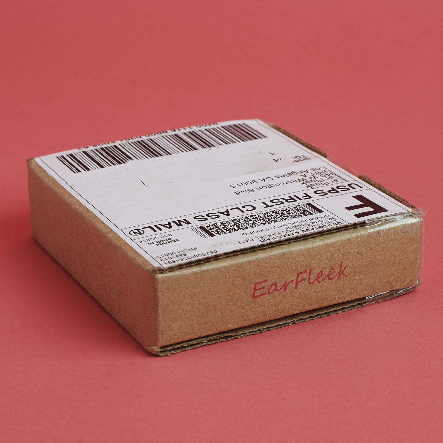 EarFleek Premier Tier Minimalist Earrings Review – March 2018