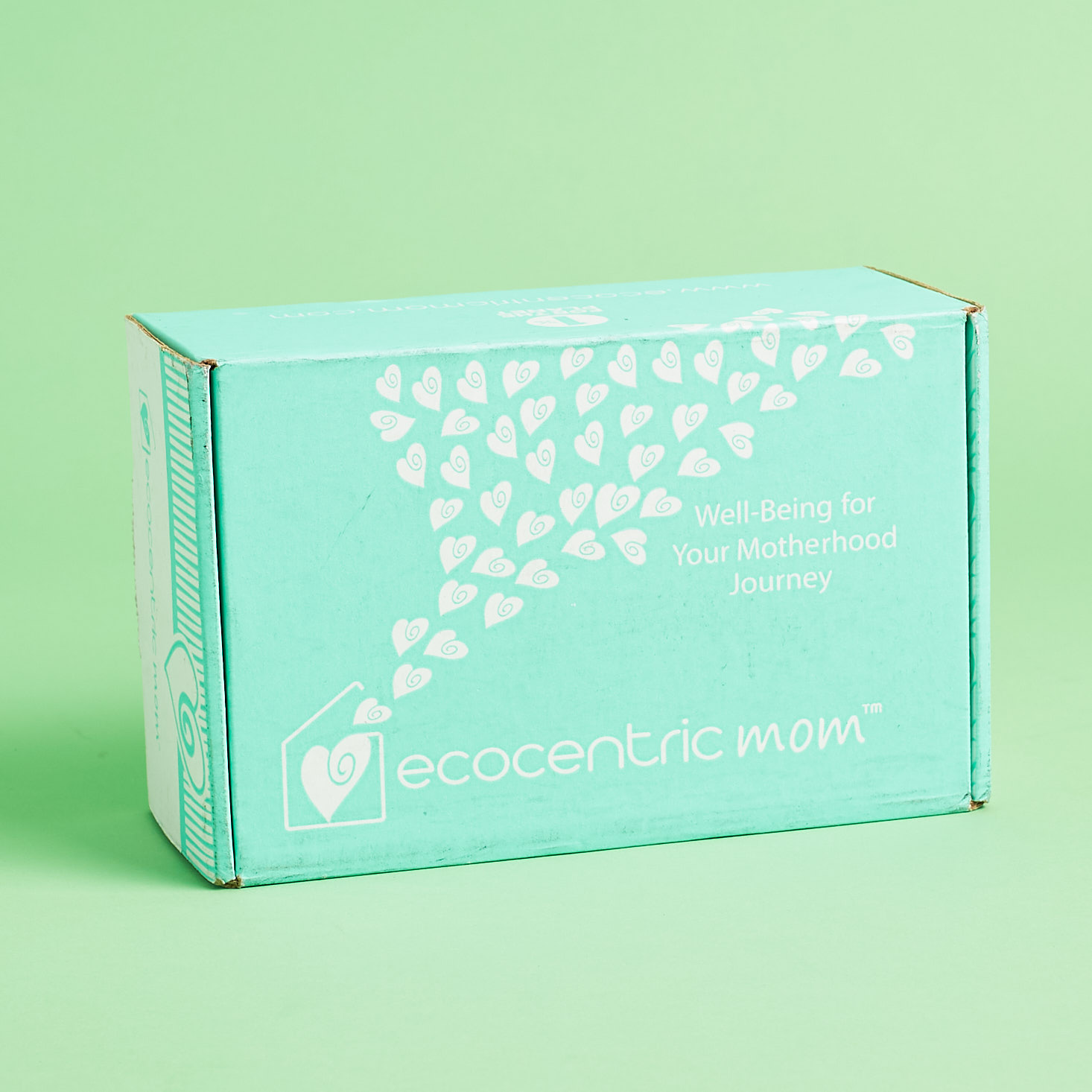 Ecocentric Mom Subscription Box Review + Coupon – February 2018