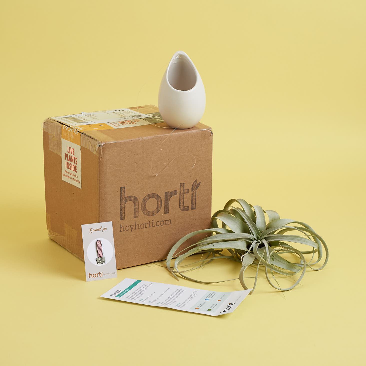 Horti Houseplant Subscription Review – March 2018