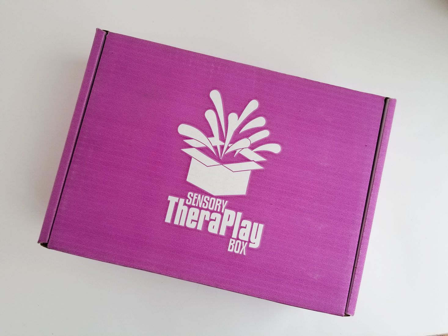 Sensory TheraPlay Box Review + Coupon – January 2018