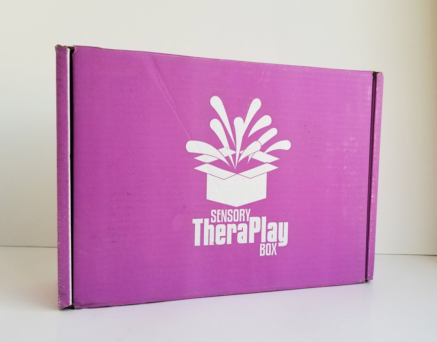 Sensory TheraPlay Box Review + Coupon – March 2018