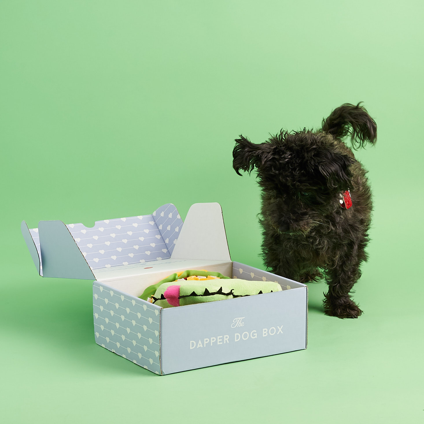The Dapper Dog Box Review + 10% Off Coupon – April 2018