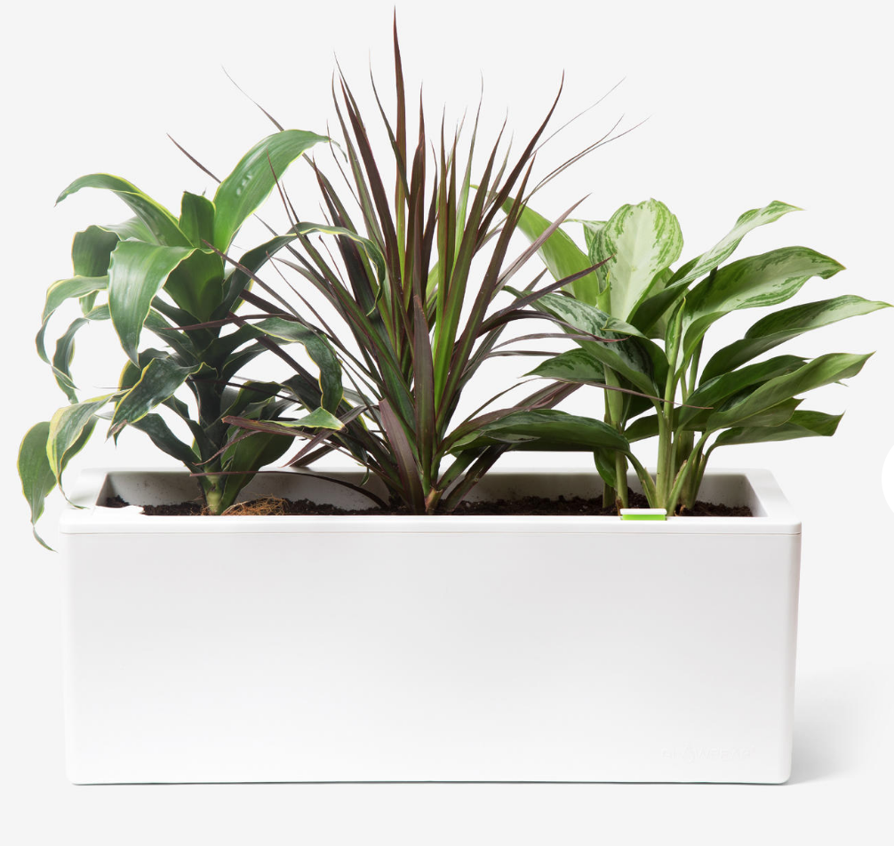 Bespoke Post April 2018 Selection Time + 25% Coupon Code!