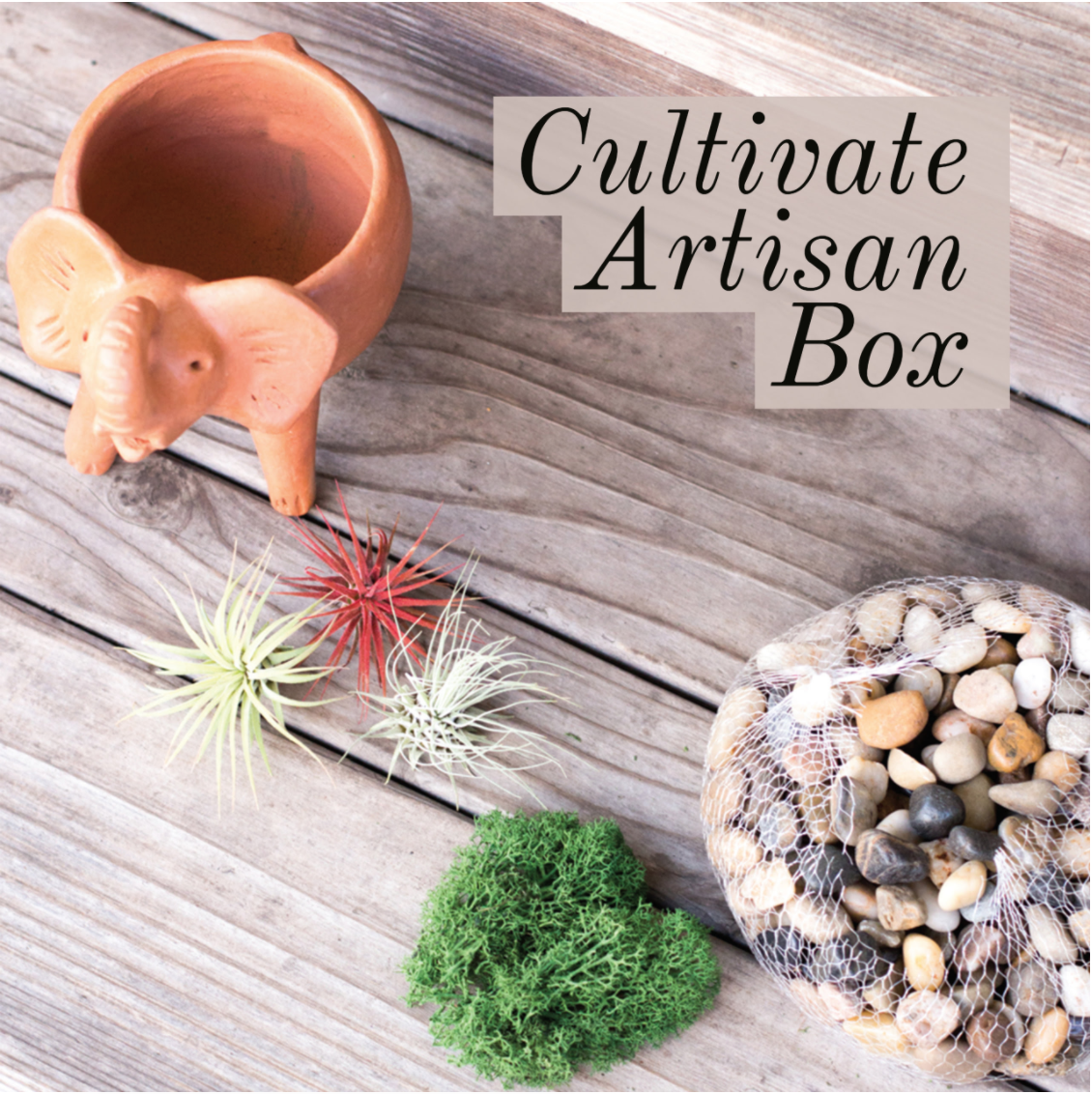 GlobeIn May 2018 Box FULL Spoilers + Coupon