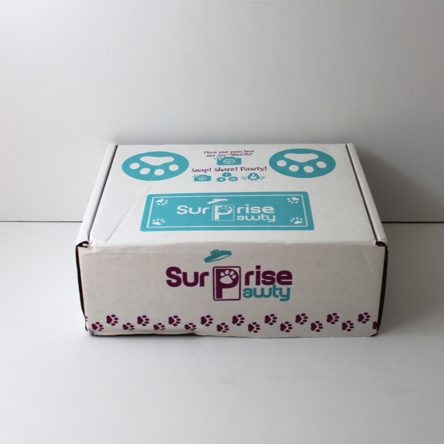 Surprise Pawty Dog Box Review + Coupon – April 2018