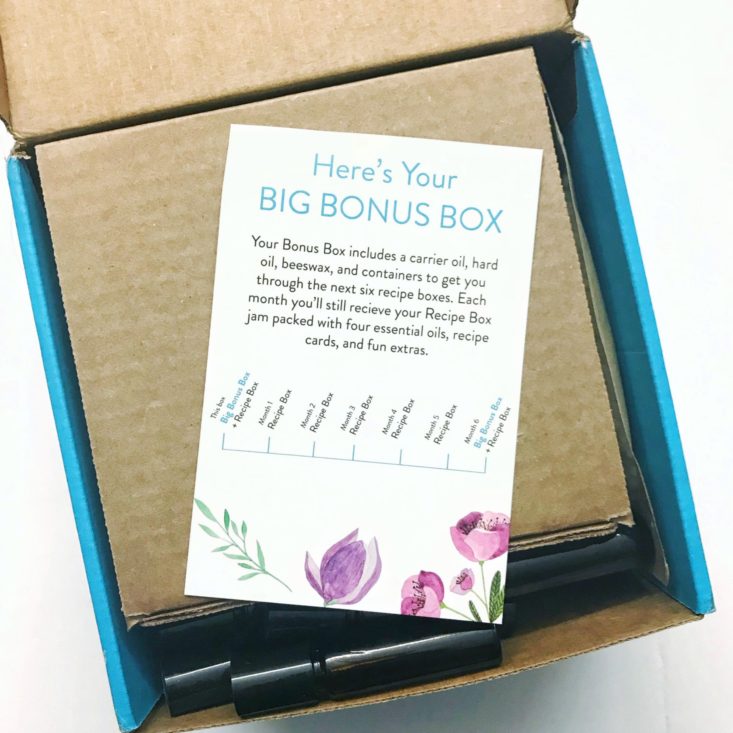 Simply Earth Essential Oil Recipe Box Bonus Box Review March Msa