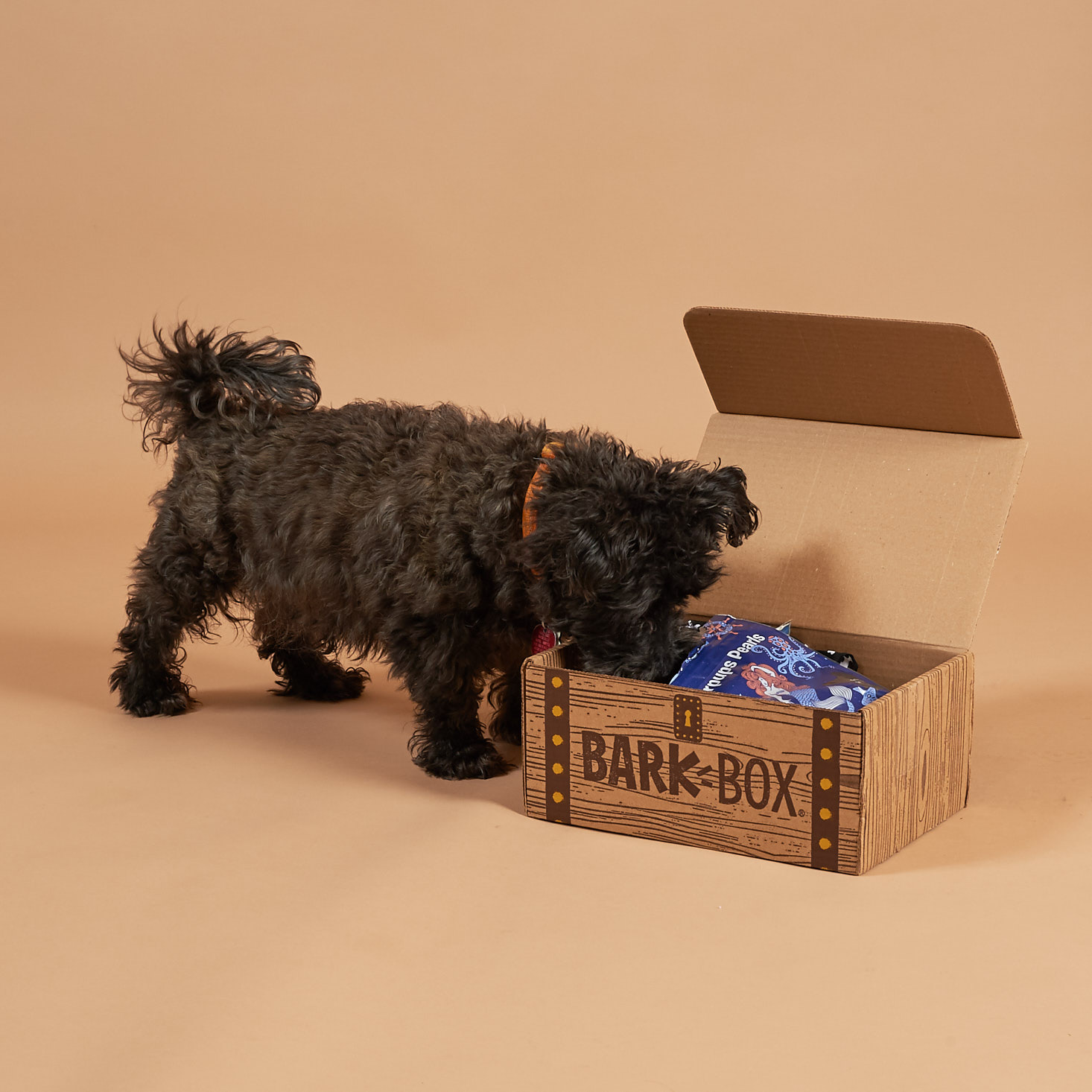 BarkBox Subscription Box Review + Coupon – April 2018