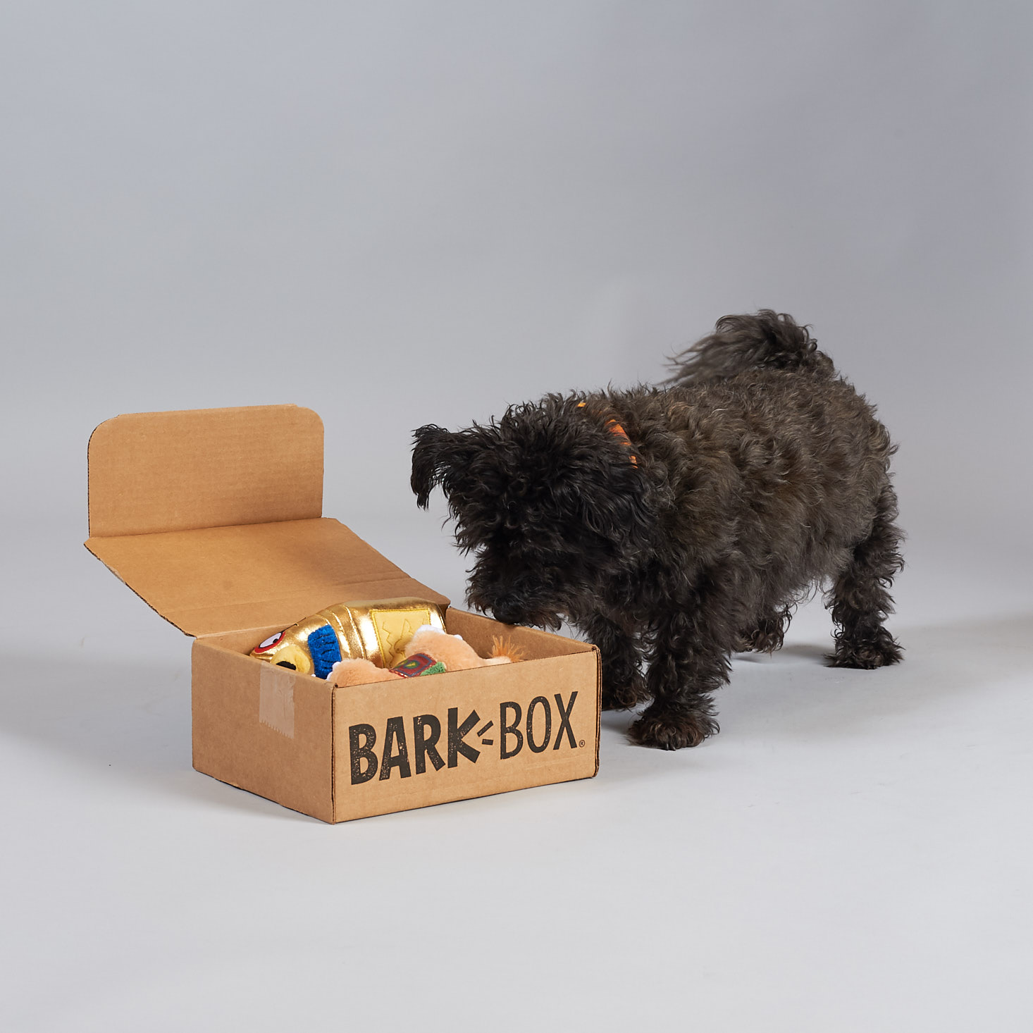 BarkBox Subscription Box Review + Coupon – May 2018