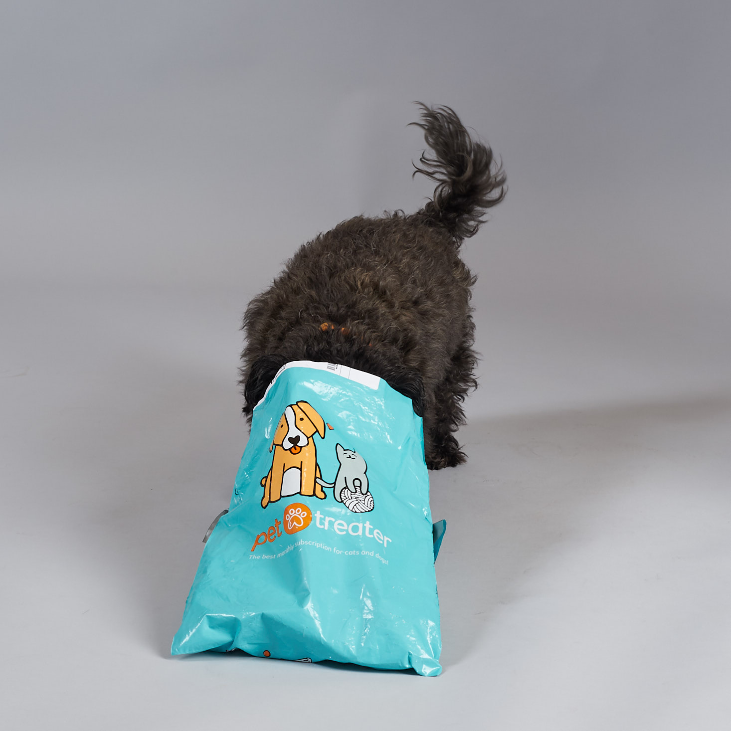 Mini Monthly Mystery Box For Dogs Subscription Review – May 2018
