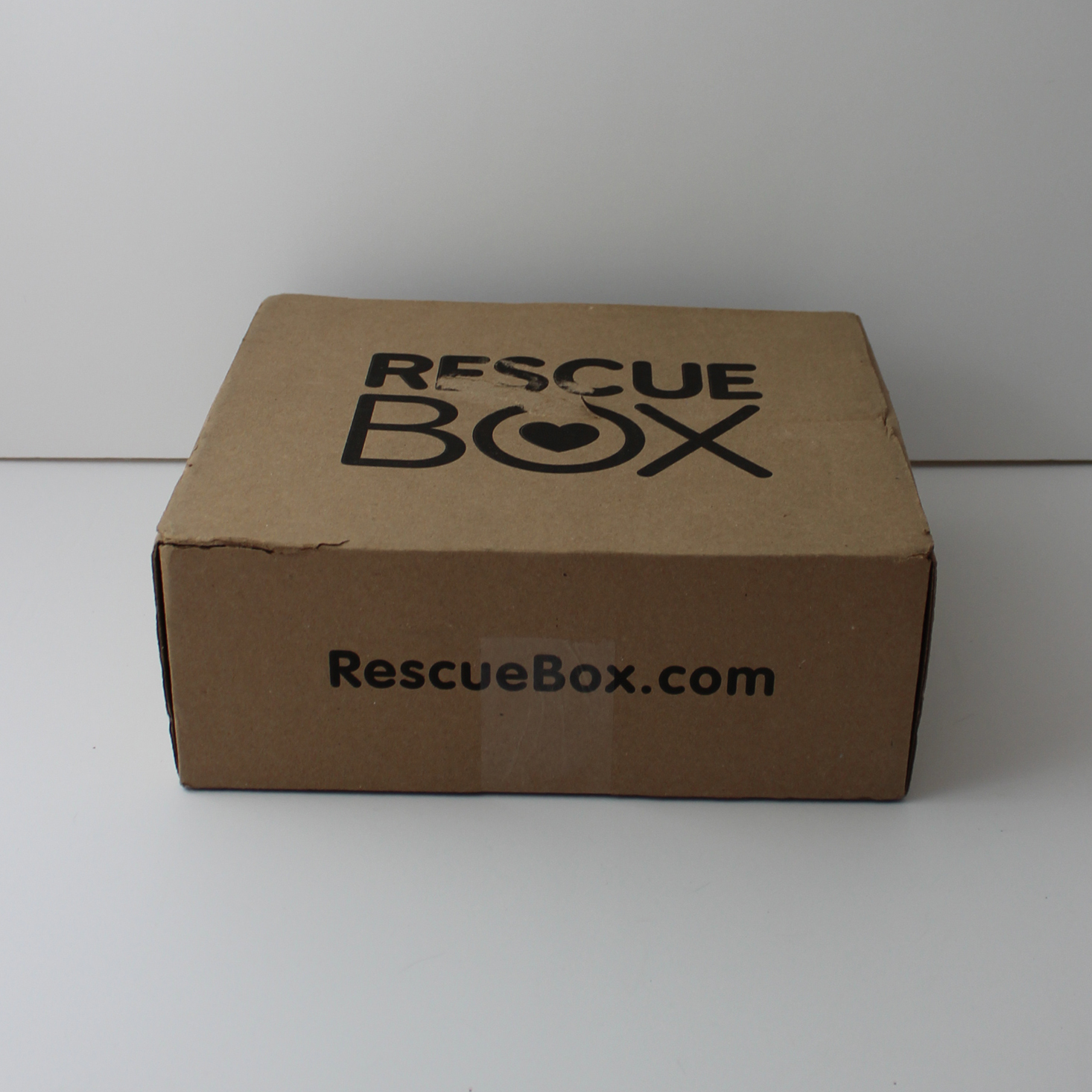 RescueBox Dog Review + Coupon – April 2018