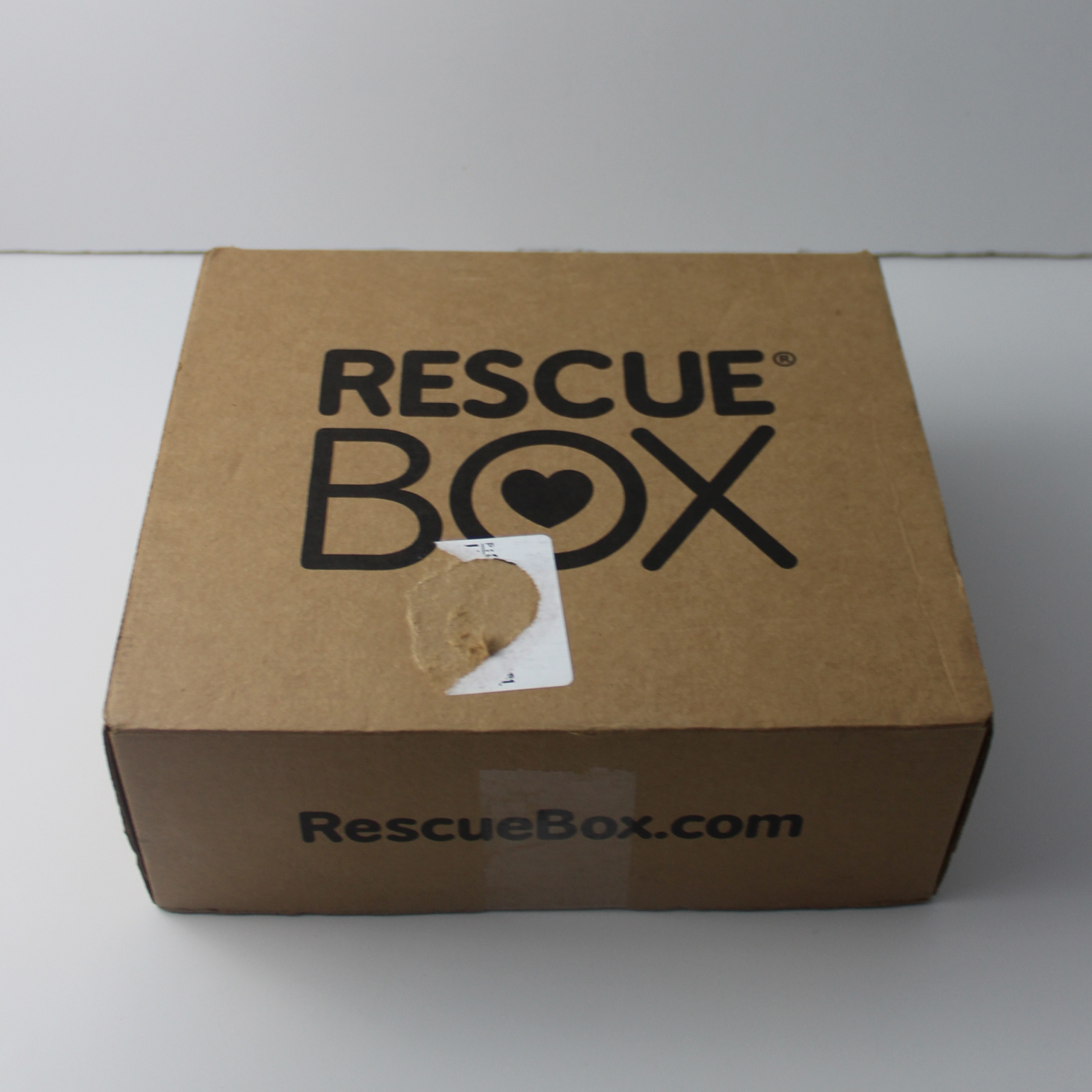 RescueBox Dog Review + Coupon – May 2018
