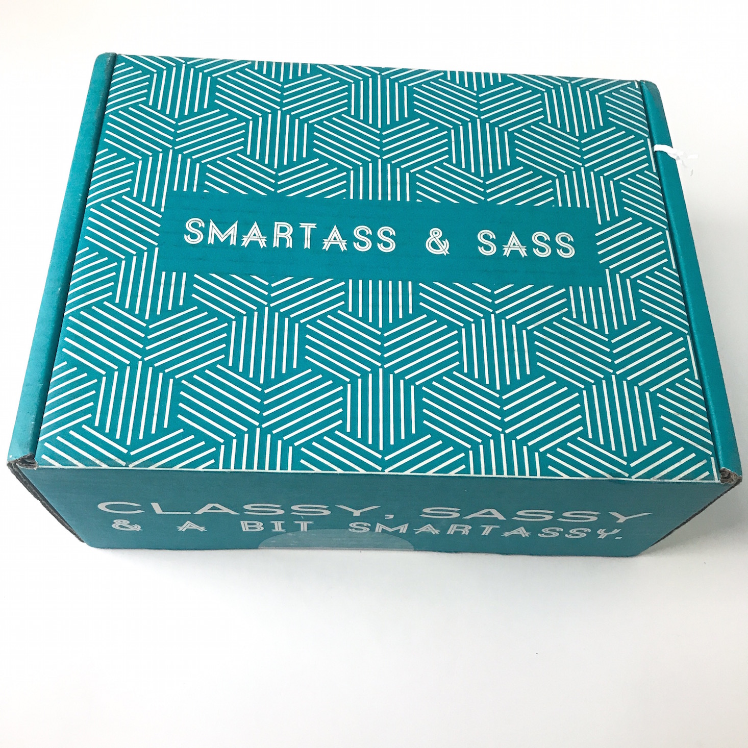 NSFW Smartass and Sass Subscription Review + Coupon – May 2018