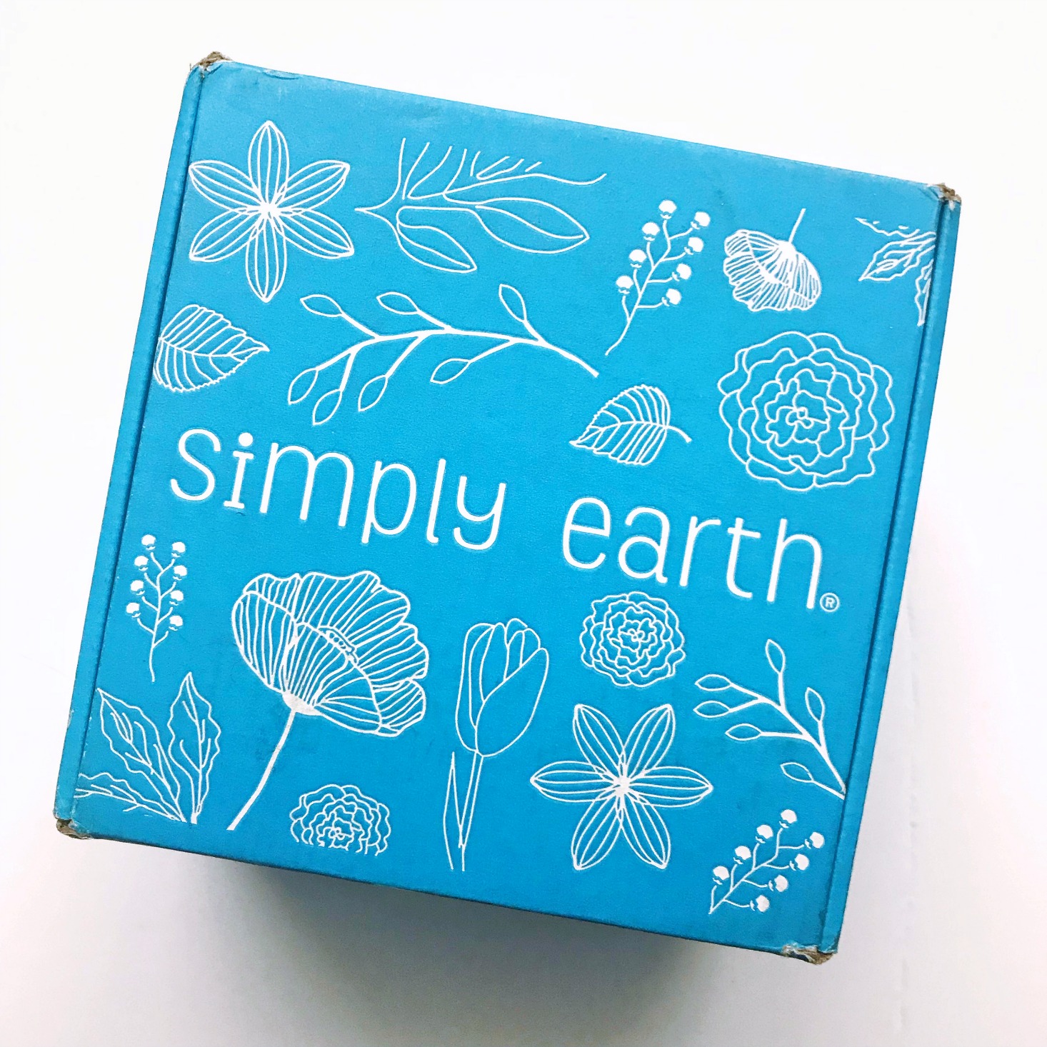 Simply Earth Essential Oil Recipe Big Bonus Box Review – March 2018