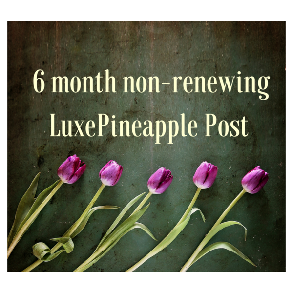 Luxe Pineapple Post Mother’s Day Sale – 6 Months for $100!