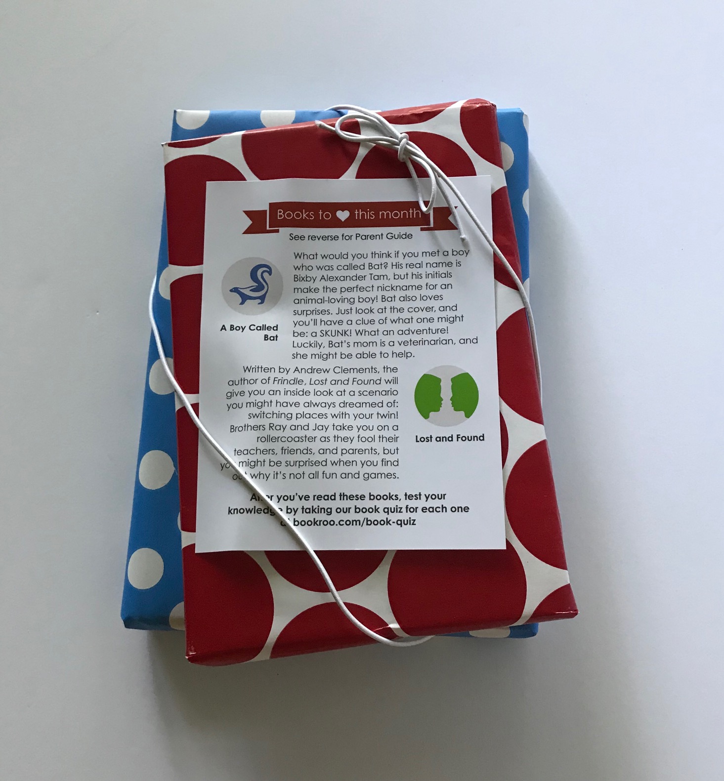 Bookroo Chapter Subscription Box Review + Coupon – September 2018