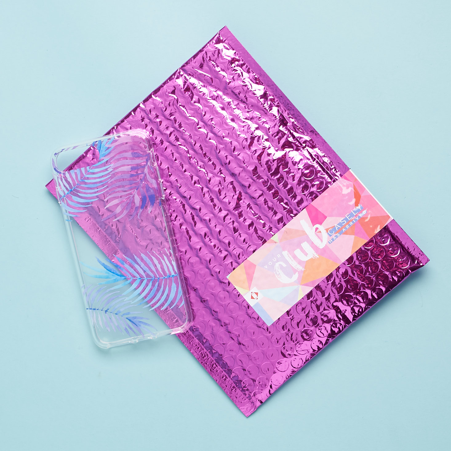 Casely iPhone Case Subscription Review – June 2018