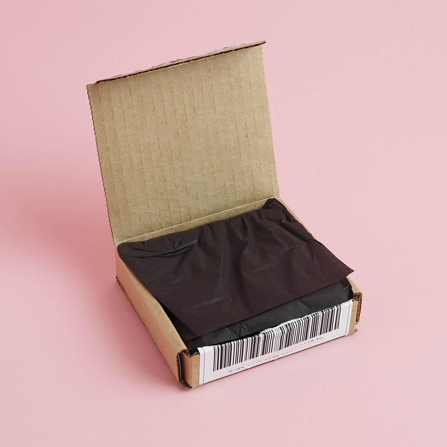 EarFleek Premier Tier Silly & Fun Earrings Review – June 2018