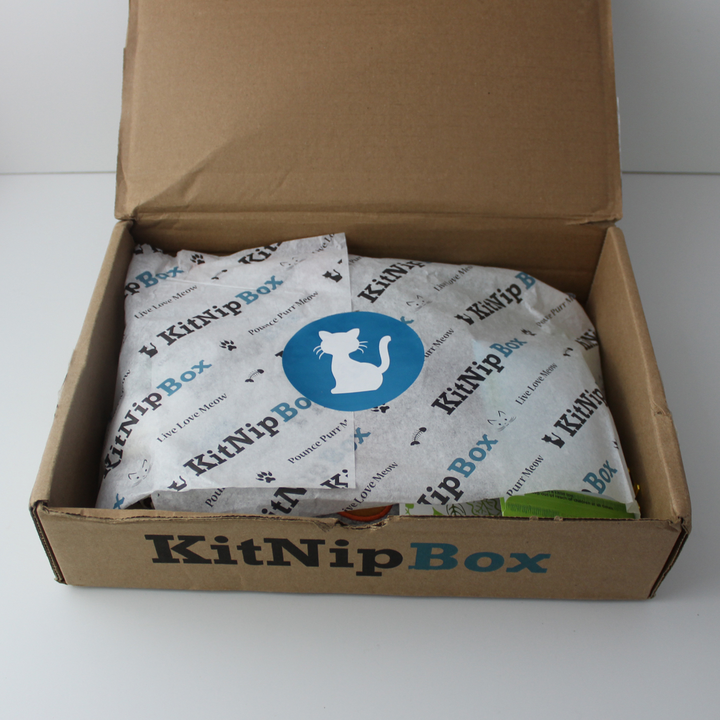 KitNipBox Cat Subscription Review + Coupon – June 2018