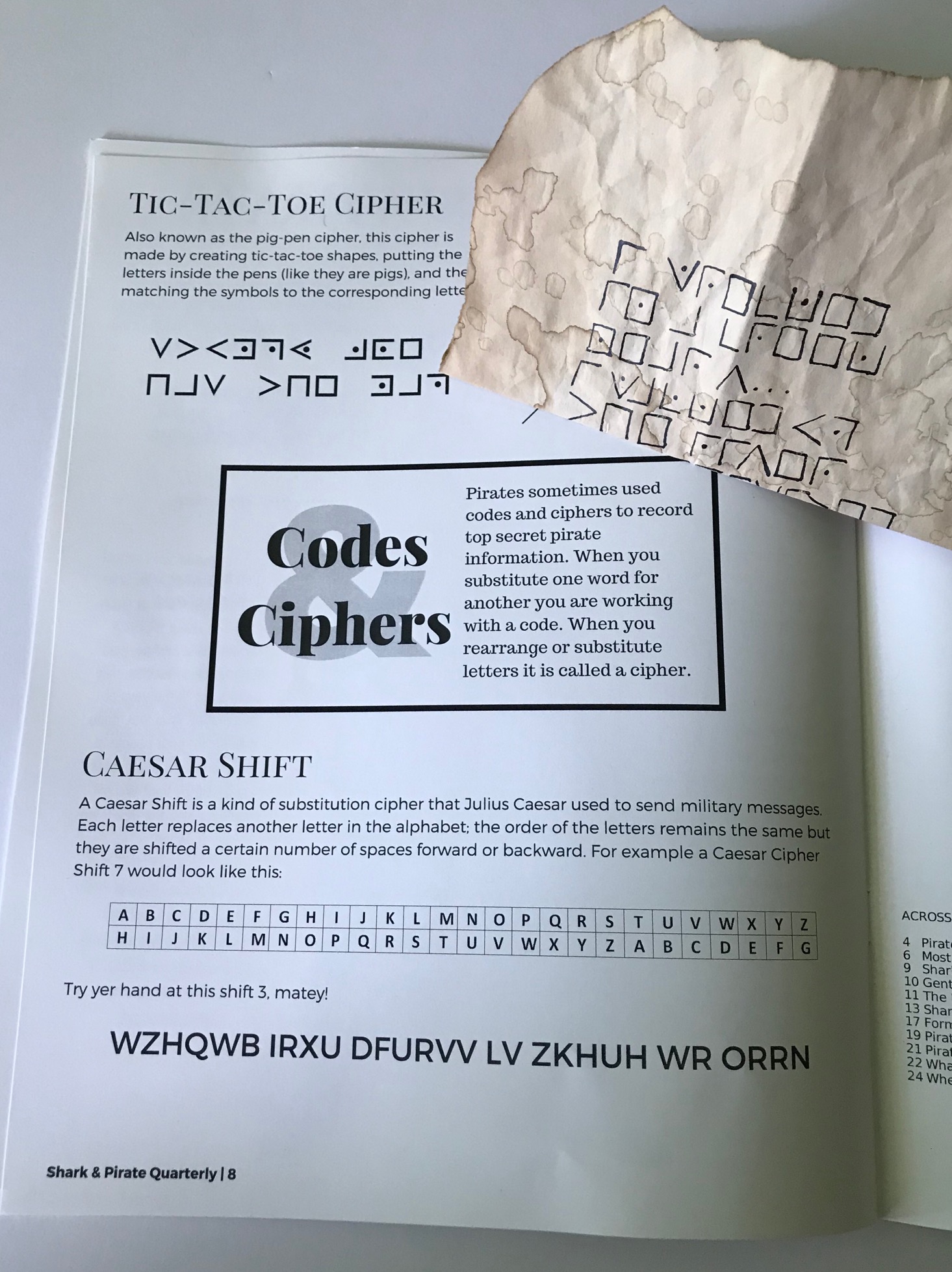 Mail Order Mystery Kids Box "Treasure Hunt" Review MSA