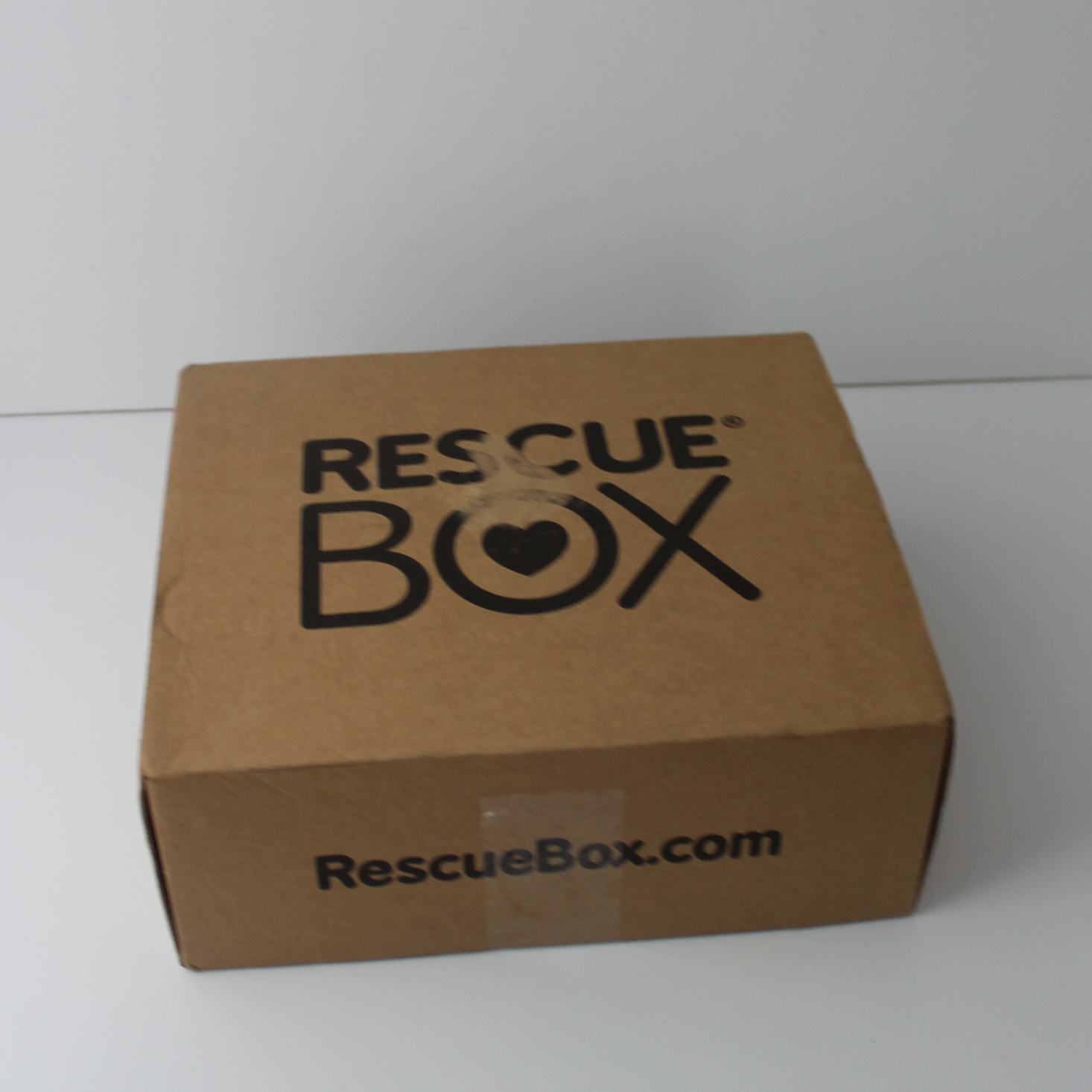 RescueBox Dog Review + Coupon – June 2018