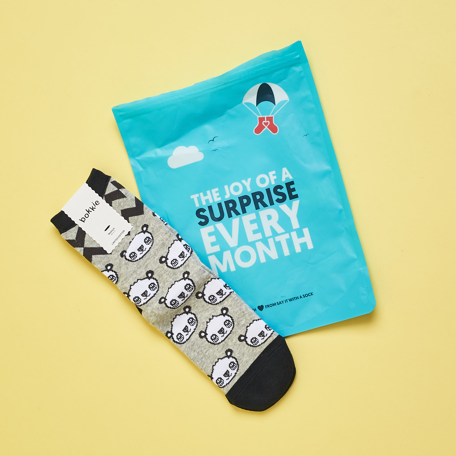 Say It With A Sock Subscription Women’s Review + Coupon – May 2018