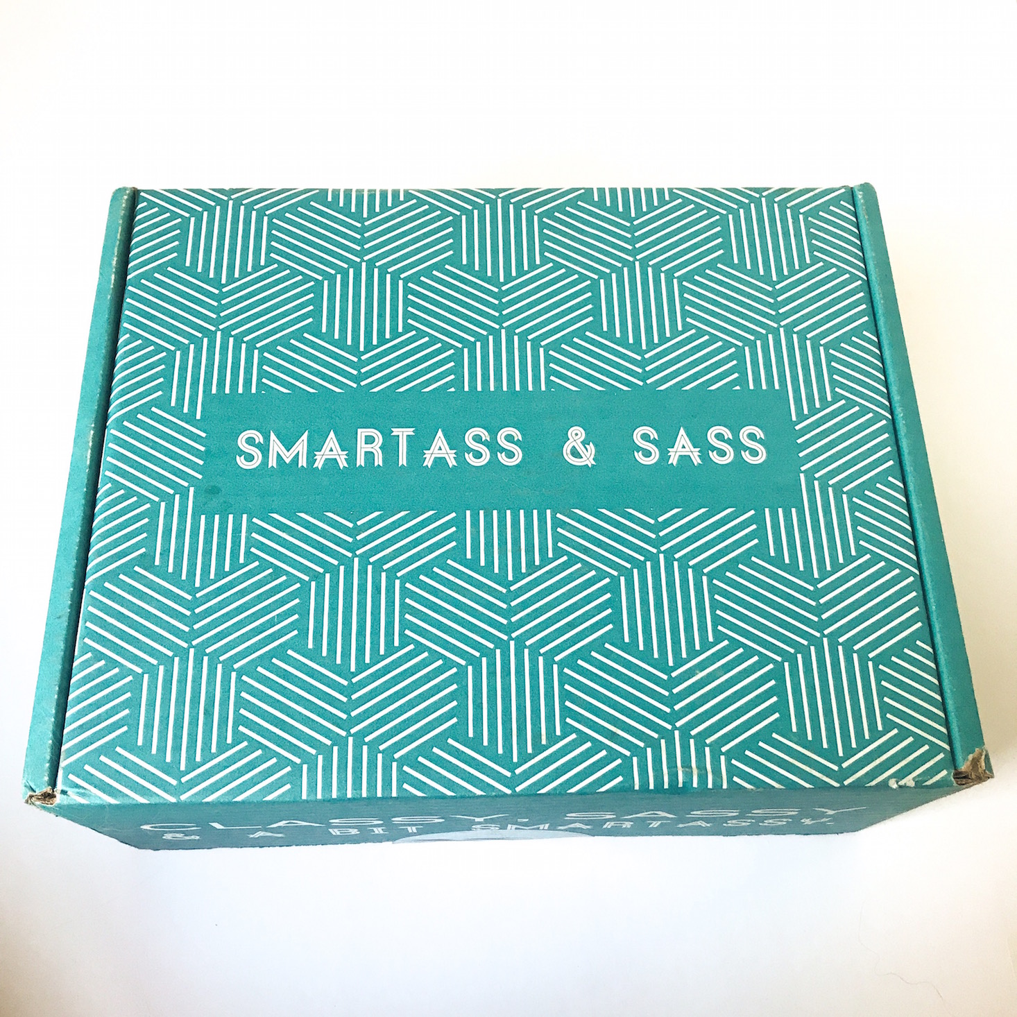Smartass and Sass Cat Lady for Life Limited Edition Box Review + Exclusive Coupon