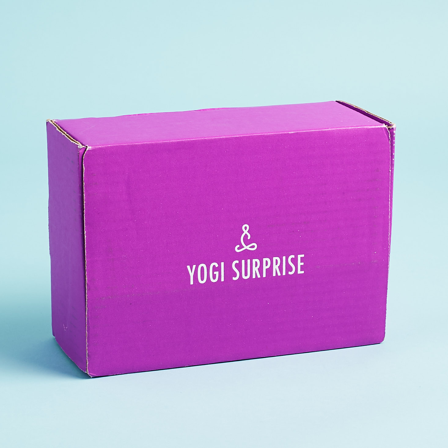 Yogi Surprise Subscription Box Review + Coupon – June 2018