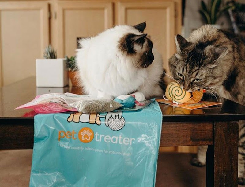 Pet Treater Deal – First Cat Pack Box For $5!