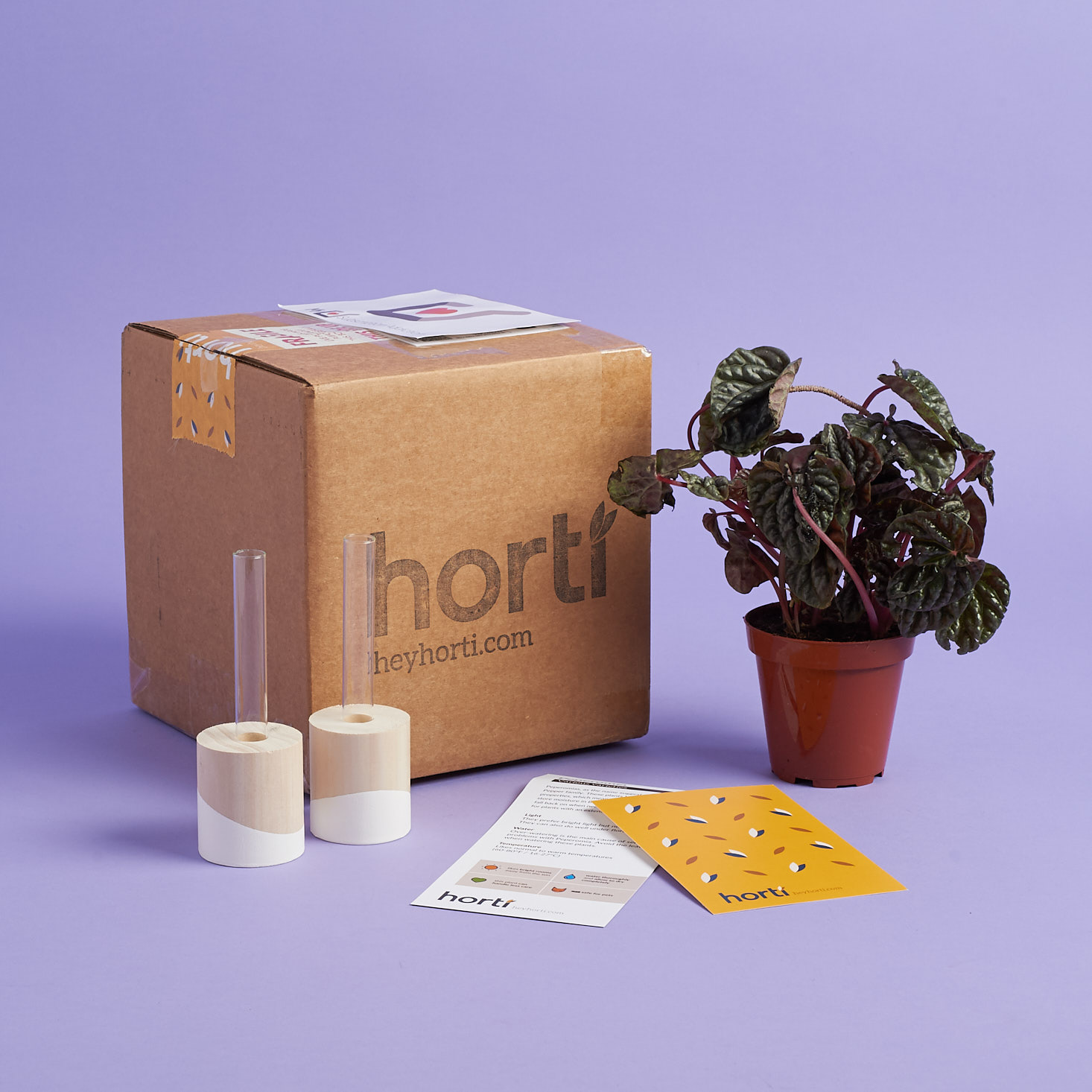Horti Houseplant Subscription Review – July 2018