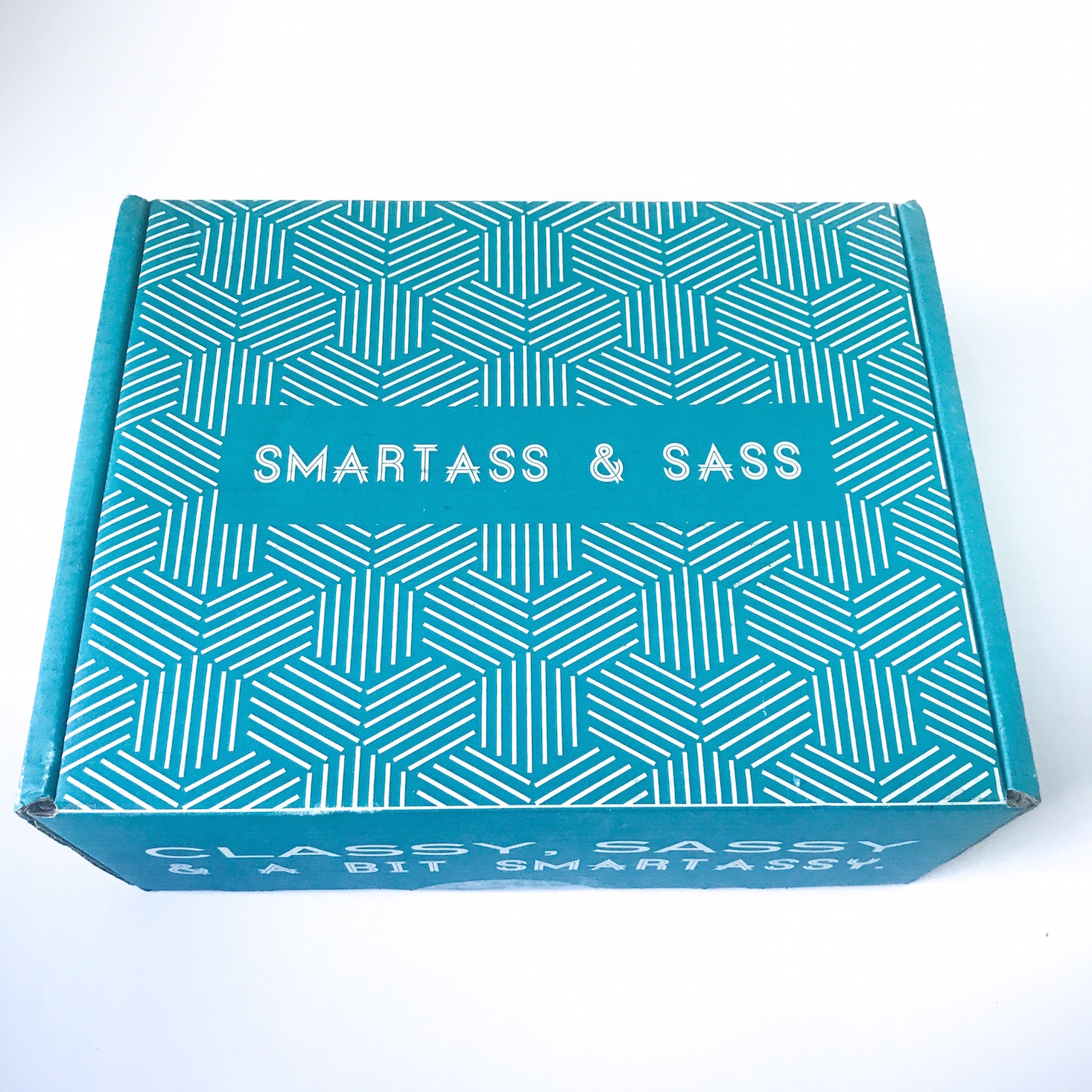 NSFW Smartass and Sass Subscription Review + Coupon – June 2018