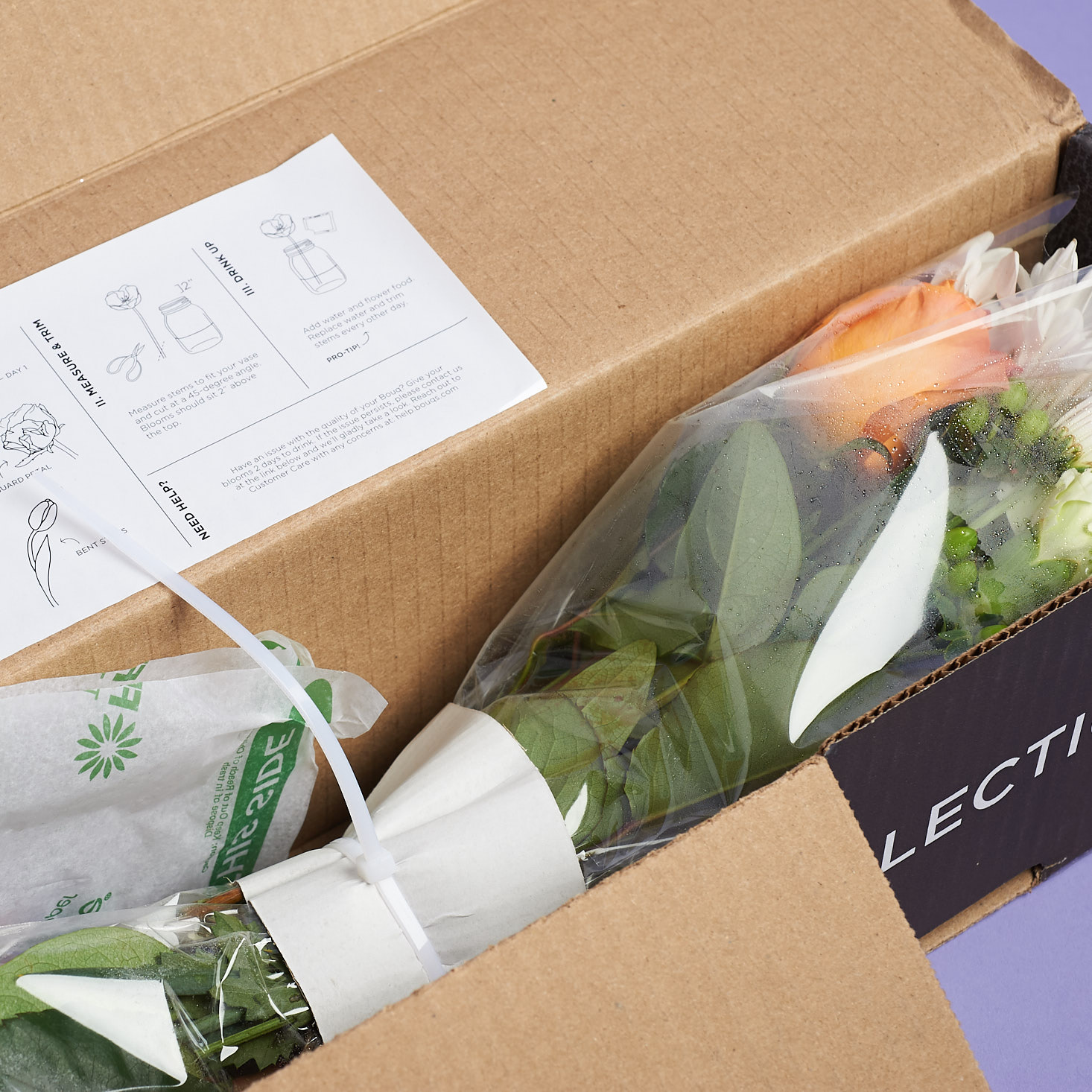 The Bouqs Subscription Review June 2018 MSA