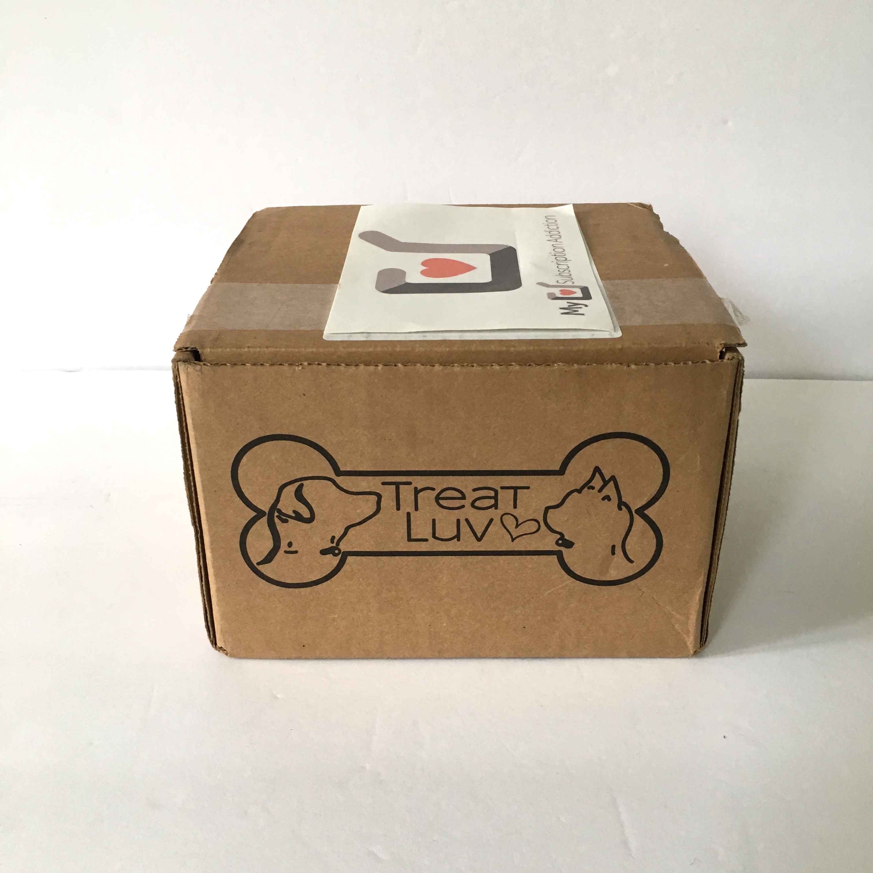 TreatLuv Dog Subscription Box Review + Coupon – July 2018