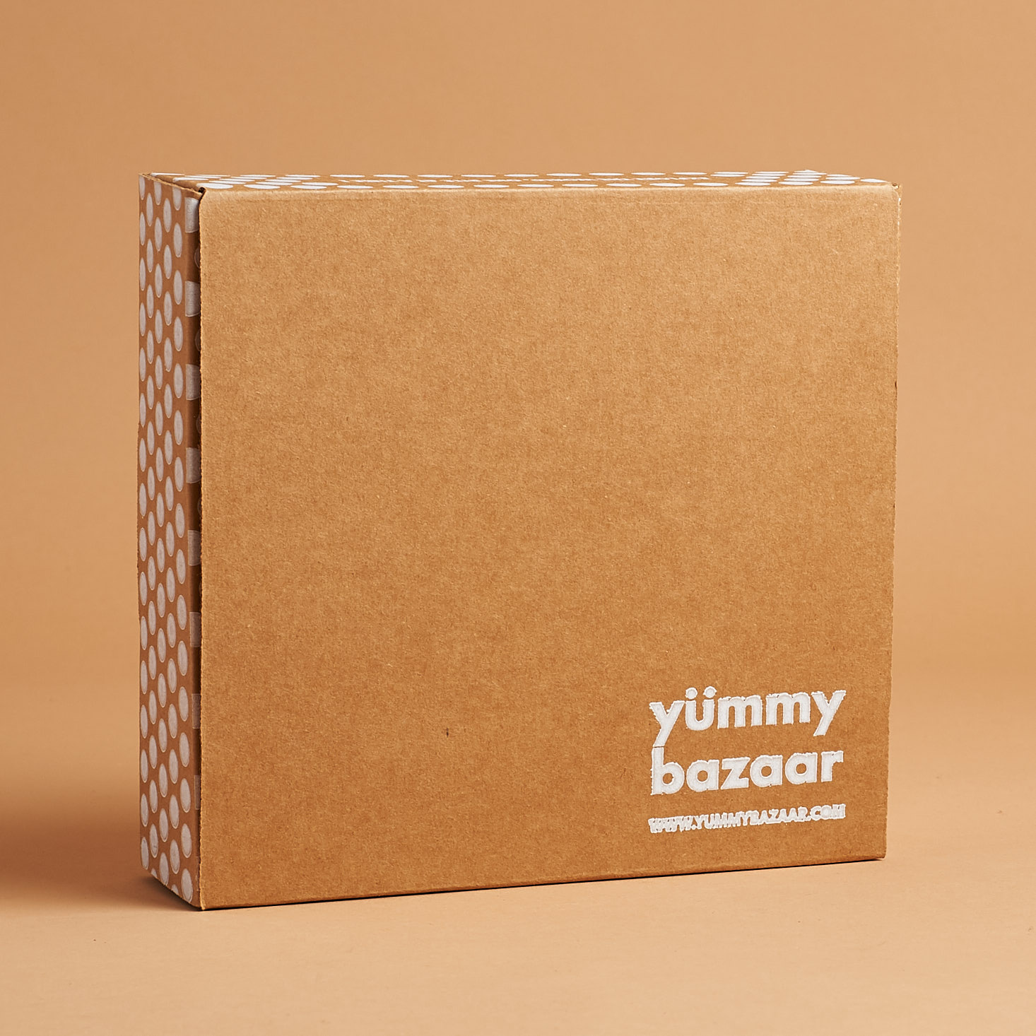 Yummy Bazaar World Sampler Box Review – June 2018