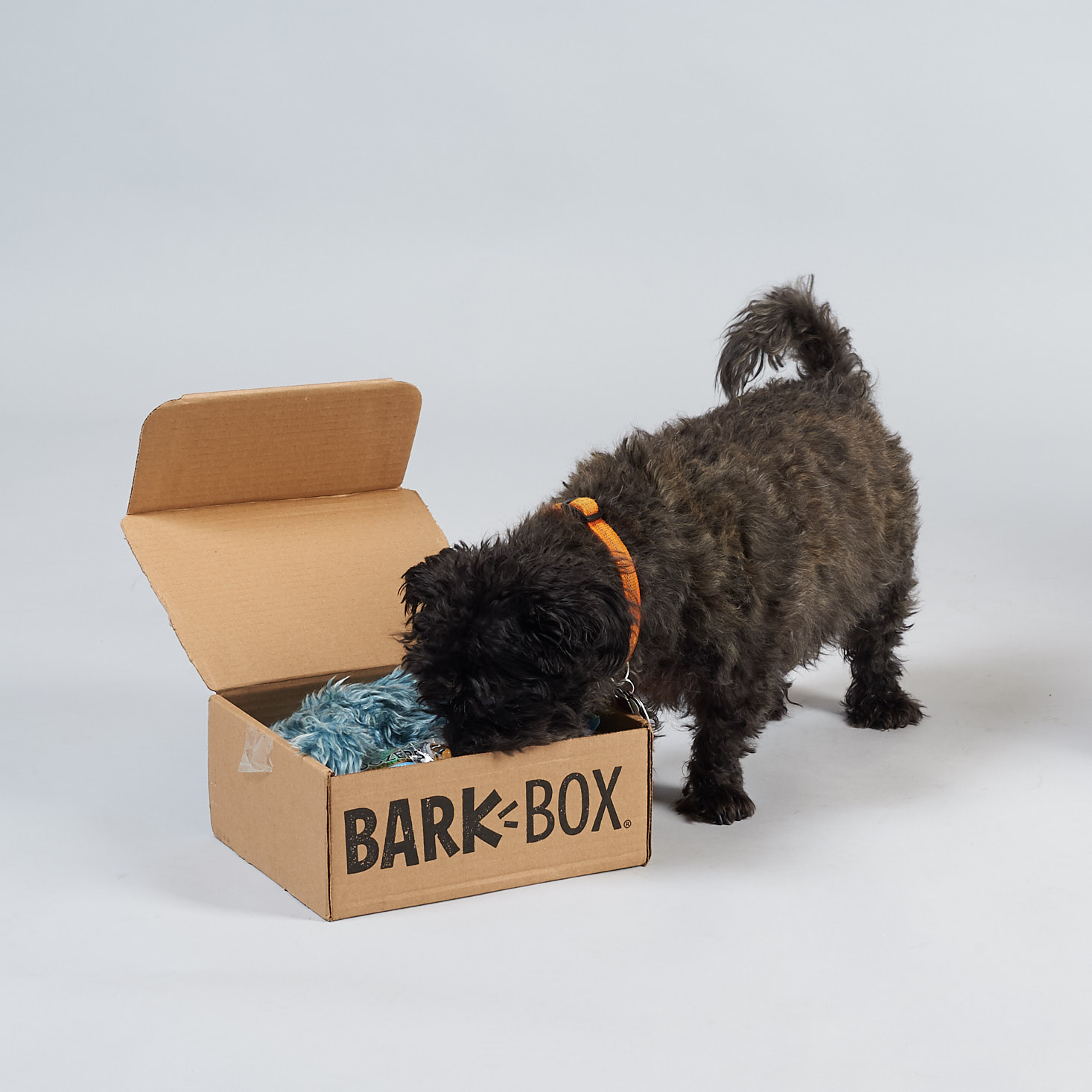 BarkBox Subscription Box Review + First Box For $5 – August 2018