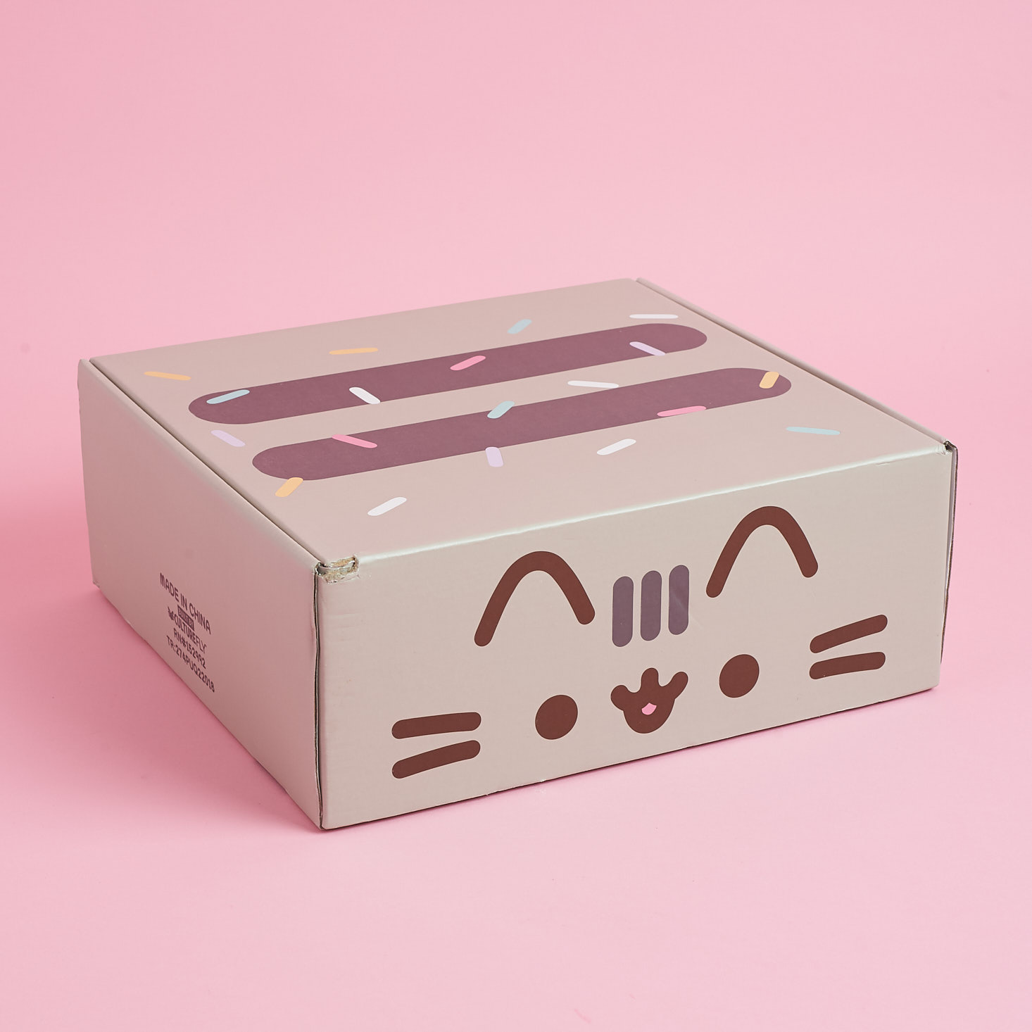 Pusheen Box Subscription Review – Summer 2018